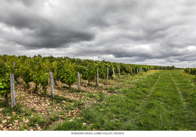 Domaine Gigou