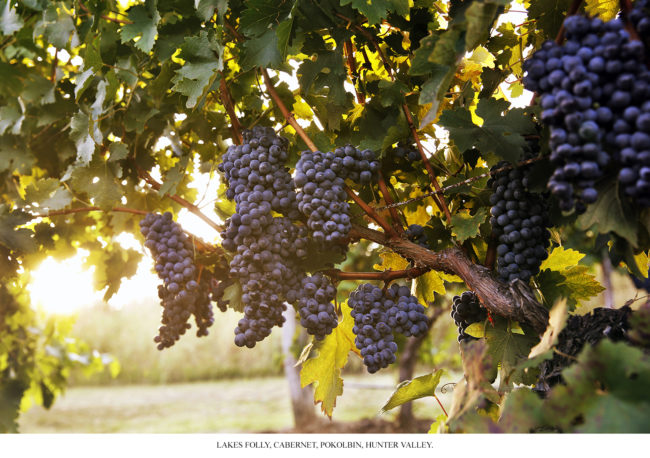 Lakes Folly Cabernet