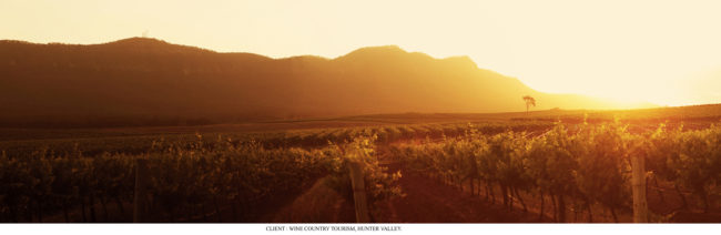 Vineyard Mistloe Lane