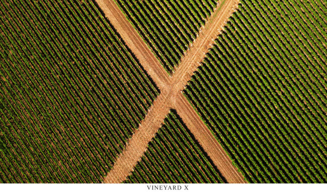 Vineyard X