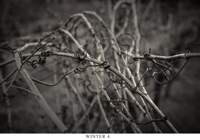 Winter 4